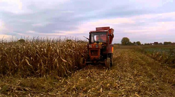 Agricultura pe înțelesul tuturor – Graficul lucrărilor agricole în luna octombrie