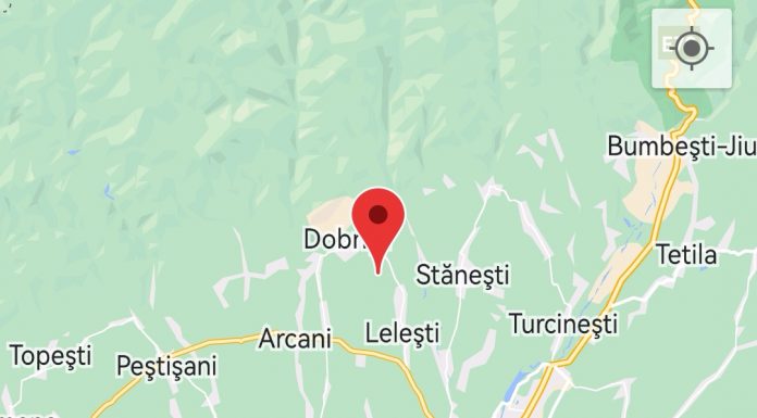 Cutremur de 3,4 în Gorj, la Lelești