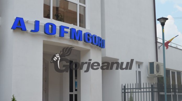 Trei noi cursuri de formare profesională, demarate de AJOFM Gorj