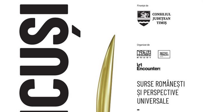 Peste 70.000 de vizitatori sunt așteptați la expoziția dedicată lui Brâncuși! Se iau măsuri anti-tero!