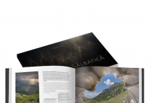 Cum să-i învățați alfabetul pe cei mici? – Idei și jocuri interactive