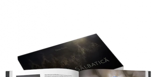 Cum să-i învățați alfabetul pe cei mici? – Idei și jocuri interactive