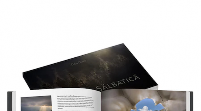 Cum să-i învățați alfabetul pe cei mici? – Idei și jocuri interactive