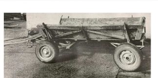 Căruță confiscată, vândută de ANAF. Bijuterii din aur, la licitație!