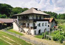 Muzeul Județean Gorj angajează supraveghetor pentru Casa Cartianu