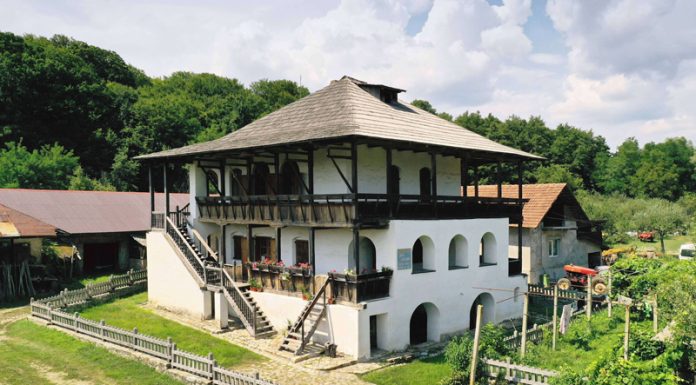 Muzeul Județean Gorj angajează supraveghetor pentru Casa Cartianu