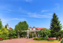 Chestionar online pentru tinerii din Târgu-Jiu