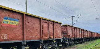 Zeci de vagoane de marfă ale CFR, scoase la vânzare de Finanțele din Gorj