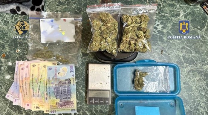 Percheziții la traficanții de droguri