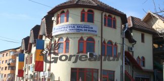 Amenzi de zeci de mii de lei pentru patronii din județ