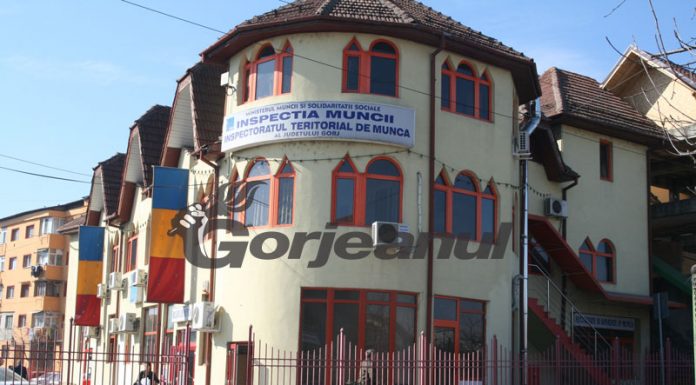 Angajatorii din Gorj, prinși pe picior greșit! A curs cu sancțiuni de peste 180.000 de lei!