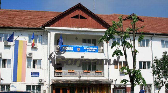Primăria Rovinari recrutează un consilier!