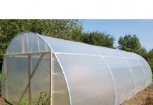 DAJ Gorj: Ajutor de minimis pentru susținerea producției de legume în spații protejate