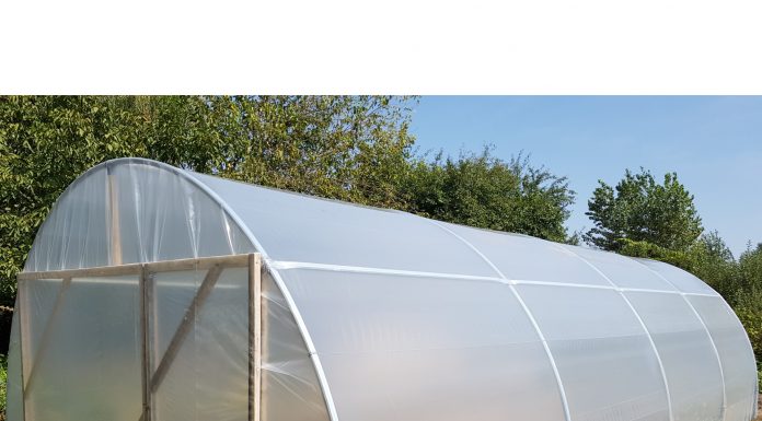 DAJ Gorj: Ajutor de minimis pentru susținerea producției de legume în spații protejate