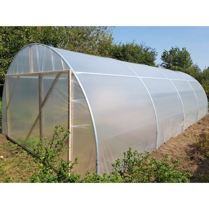 DAJ Gorj: Ajutor de minimis pentru susținerea producției de legume în spații protejate