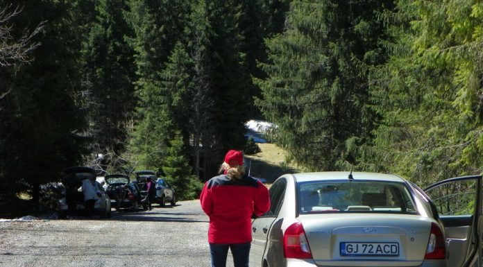 ATITUDINI… LA ALTITUDINE – RESPECT PENTRU PĂSTRAREA CURĂȚENIEI