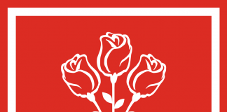 Scandal pe tema limitării cash-ului. PSD, înjurat pe Faceboook