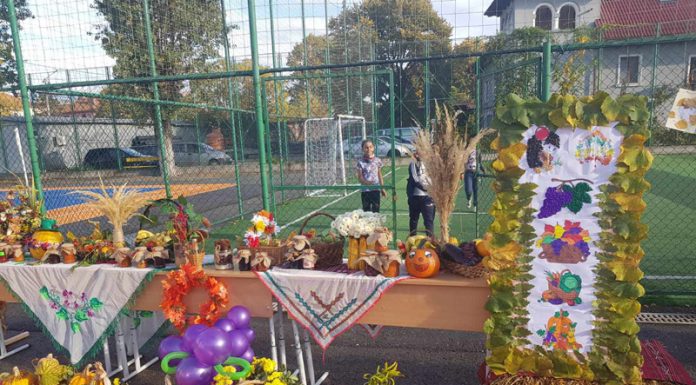 Toamna, sărbătorită la Școala „Ecaterina Teodoroiu”