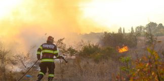 Pompierii, o intervenție pe minut