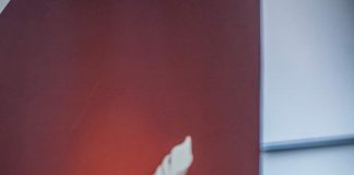 Motivul călătoriei în opera scriitorului Cornel Nistea prin orașe înfrățite