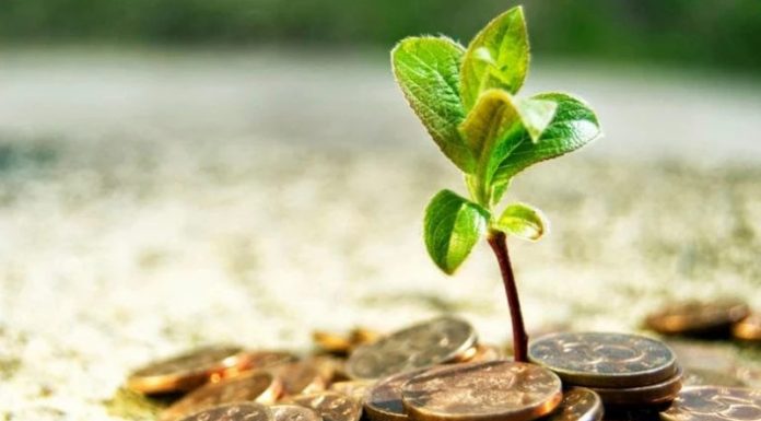 AFIR decontează primele de asigurare ale culturilor și animalelor