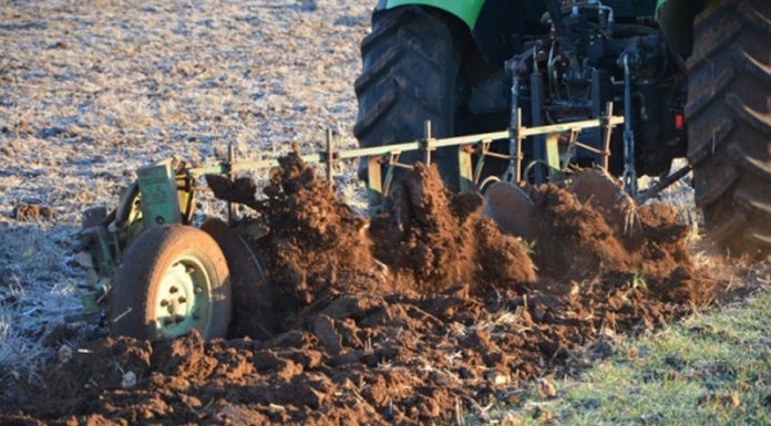 Agricultura pe înțelesul tuturor – Graficul lucrărilor agricole în luna noiembrie