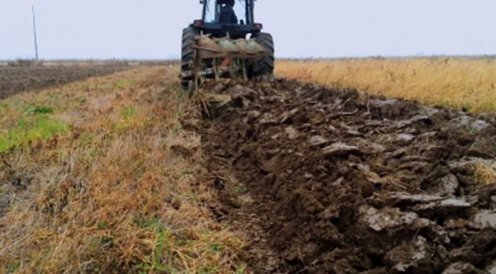 Agricultura pe înțelesul tuturor – Faceți-vă un mare bine: arați terenul toamna!