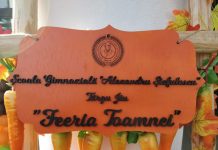 „Feeria toamnei”, la Școala Gimnazială „Alexandru Ștefulescu”