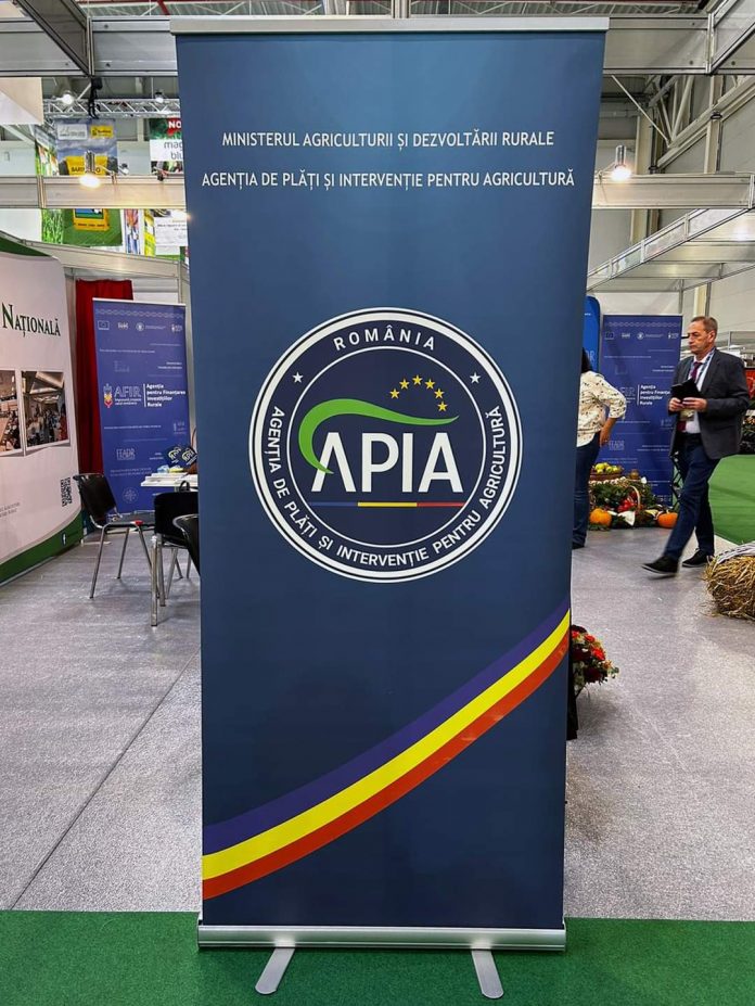 FB_IMG_1698226929269