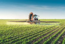 Agricultura pe înțelesul tuturor – Fertilizarea fazială a cerealelor păioase