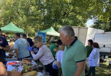 Fără mici și bere la Festivalul Sarmalelor și Piftiilor, dar cu mii de participanți!