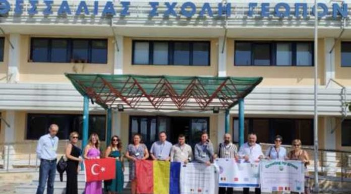 Mobilitate Erasmus pentru Şcoala Gimnazială Lihuleşti