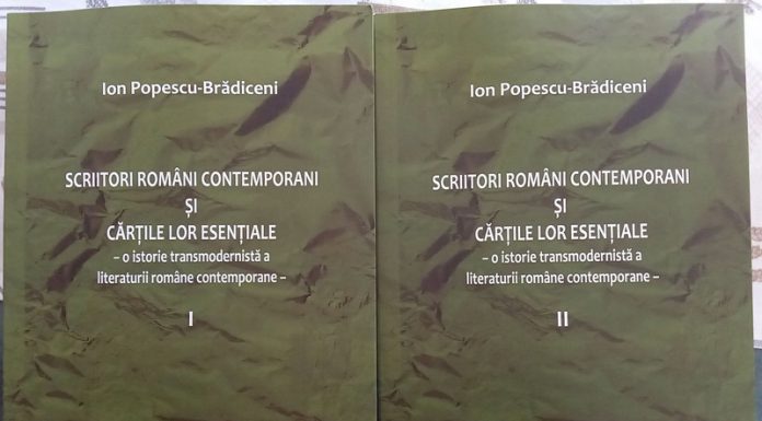 Pe Calea Visului – Cea dintâi istorie transmodernistă a literaturii române contemporane