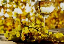 Agricultura pe înțelesul tuturor – Cupajarea și egalizarea vinurilor