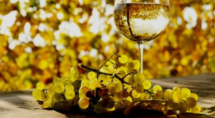 Agricultura pe înțelesul tuturor – Cupajarea și egalizarea vinurilor