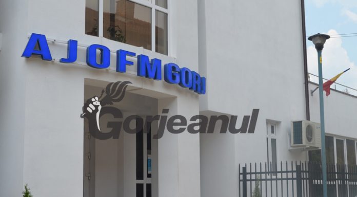 Salariații AJOFM Gorj au trimis o scrisoare deschisă către Guvern și Ministerul Muncii