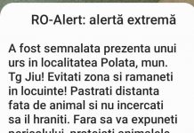 Alertă la miezul nopții. Urs văzut la Polata