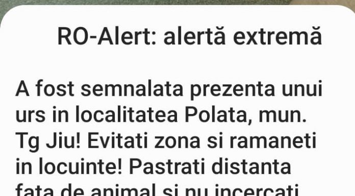 Alertă la miezul nopții. Urs văzut la Polata