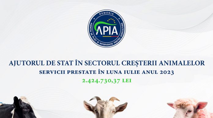 APIA: Vin banii pentru crescătorii de animale