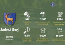 Noi apeluri de proiecte pe FTJ. Finanțări pentru microîntreprinderi și start-upuri