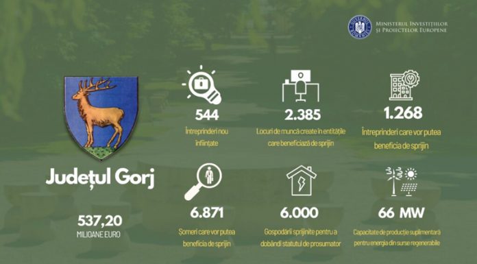 Noi apeluri de proiecte pe FTJ. Finanțări pentru microîntreprinderi și start-upuri