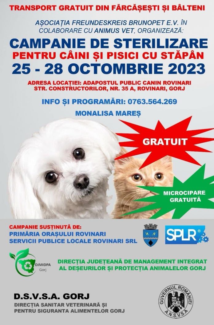 Campanie gratuită de sterilizare și microcipare a câinilor cu stăpân