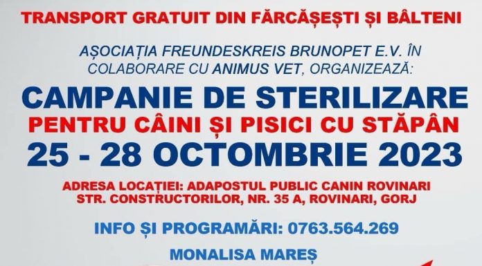Campanie gratuită de sterilizare și microcipare a câinilor cu stăpân