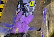 Captură record de ecstasy