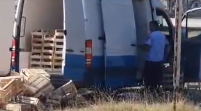 Gorj: Ciuperci confiscate de polițiști