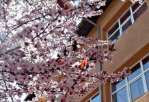 Angajări la Colegiul ”George Coșbuc” din Motru