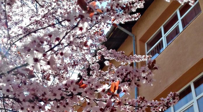 Angajări la Colegiul ”George Coșbuc” din Motru