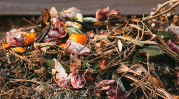 Care sunt cele mai eficiente metode pentru gestionarea deșeurilor menajere?