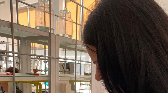 18 elevi din Cărbunești, la Tabăra Poli Camp, de la Timișoara