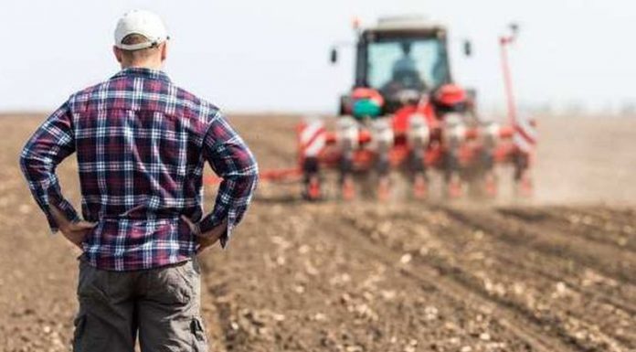 MADR face precizări pentru tinerii fermieri